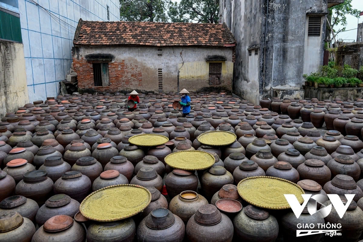 In Vietnam, there are many localities known for producing delicious and famous fermented soybean paste, but the product made in Ban village in Hung Yen stands out with its unique and aromatic flavour, setting it apart from others. Despite many ups and downs over the years, the people of Ban village have diligently worked to preserve their craft and the secrets behind making this distinctive dipping sauce.