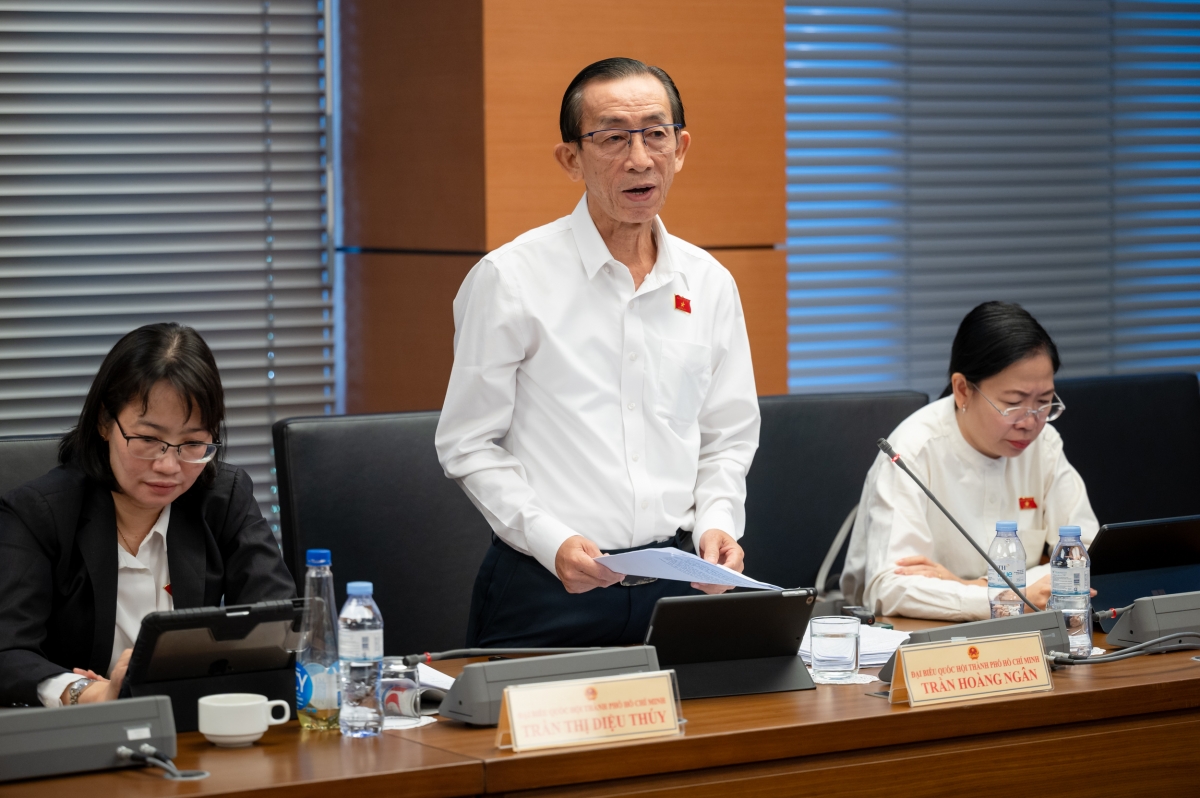 Đại biểu Trần Hoàng Ngân (Đoàn ĐBQH TP.HCM)