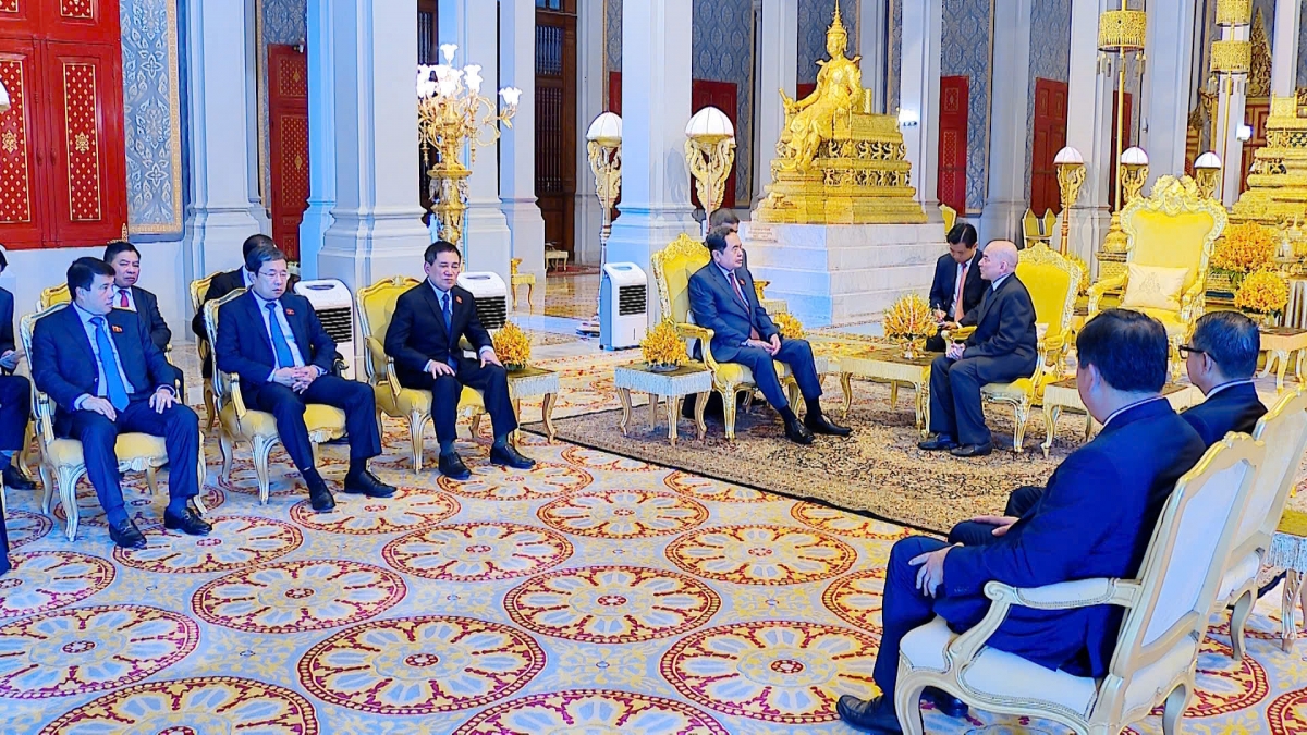 Chủ tịch Quốc hội Trần Thanh Mẫn yết kiến Quốc vương Campuchia Norodom Sihamoni. 