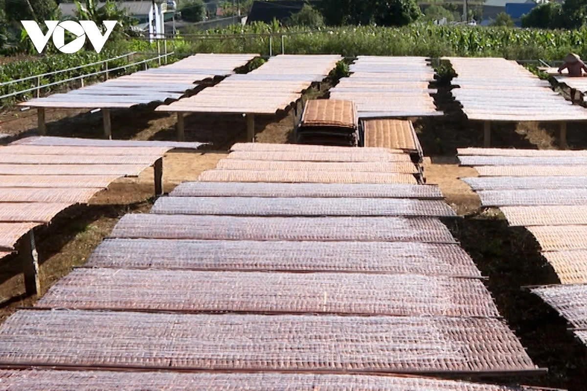Across the drying yards, the open spaces are filled with drying racks of vermicelli. Drying in the sun is said to enhance the flavor and preserve the product.
