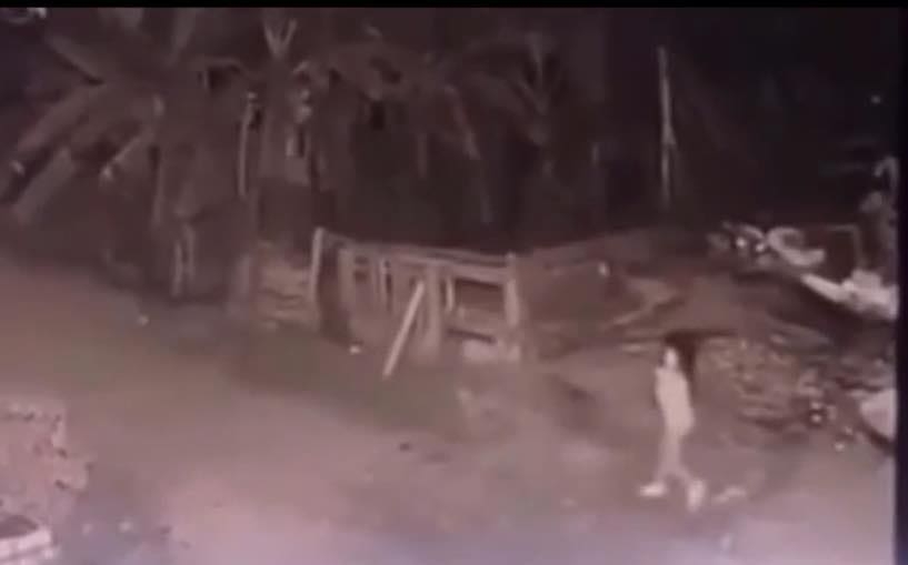 Bé gái đang đi bộ thì bị 2 con chó béc giê tấn công. (Ảnh: camera nhà dân)
