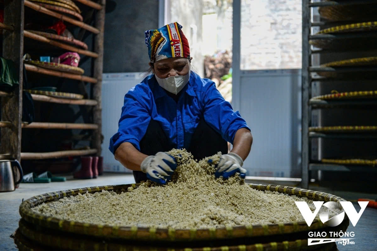 To ensure even fermentation, the producers use chopsticks to stir the sticky rice daily, which helps the mold develop uniformly and also loosens the grains of rice. The moldy sticky rice is then ground and mixed with soybeans, water, and spices, and the mixture is left to ferment for at least two to three months before a delicious sauce is ready.