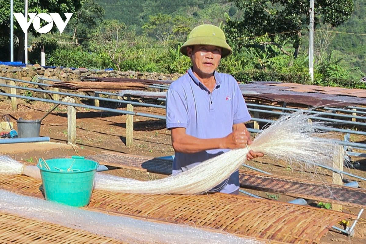After drying, the vermicelli is collected to prepare for the packaging process.