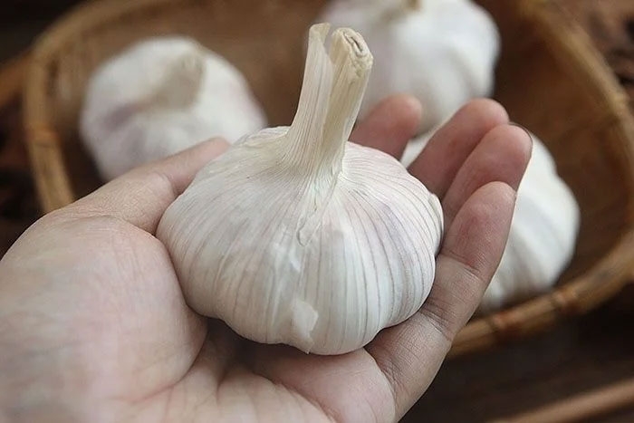 Tỏi – loại gia vị giúp tăng thêm hương vị cho món ăn của bạn, có khả năng hạ huyết áp và cholesterol (Ảnh minh hoạ)