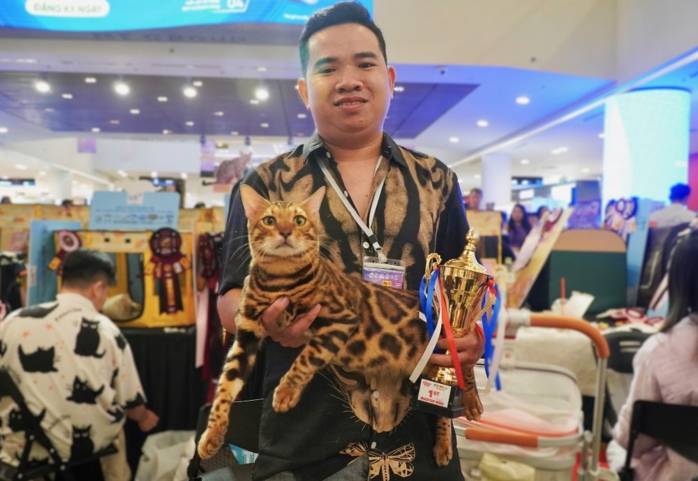 This is the first time that a Vietnamese animal has won an award at this competition. The cat's owner, Nguyen Quang Minh from Ho Chi Minh City, shares that he has participated in the competition with the main desire to learn from experiences, so when winning the award is a huge surprise.