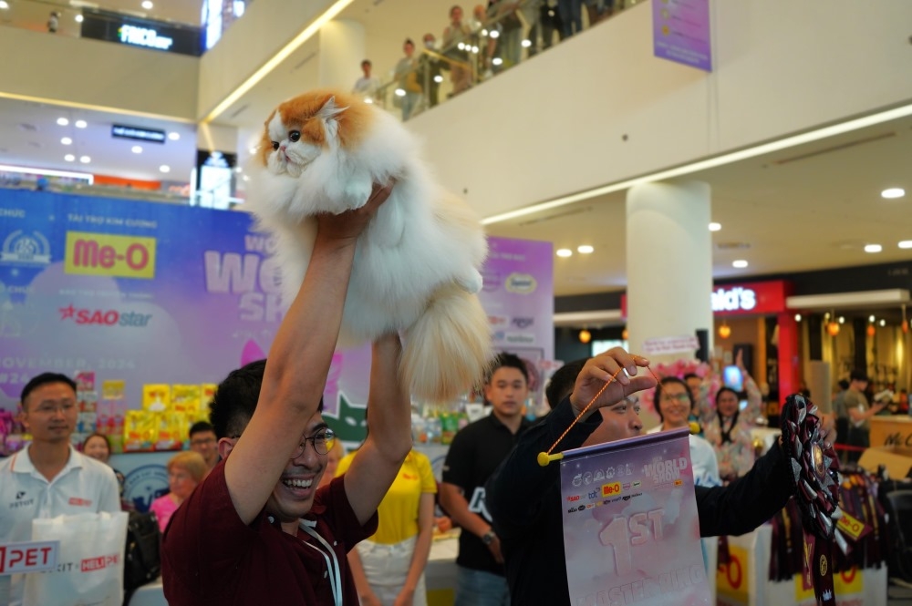 Cindy Idrine, an 11-month-old longhaired Persian cat, wins the World Cat Championship this year.