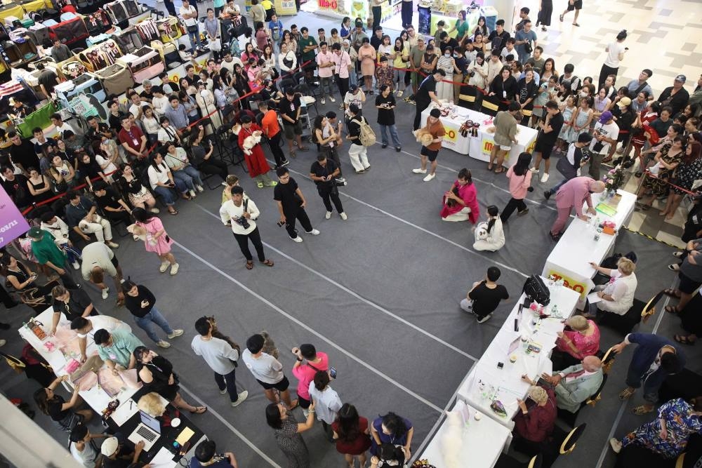 The competition, organised by the Vietnam Animal Protection Association - Vietnam Cat Association, aims to find cats capable of claiming the titles of World Champion and World Master.