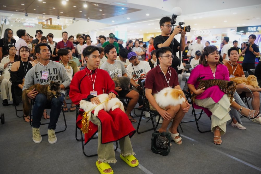 Nguyen Ngoc My, chairman of the Vietnam Animal Protection Association, says in addition to the participation of more than 50 domestic cats, there are also 30 cats from abroad with diverse breeds, many of which have achieved international titles.