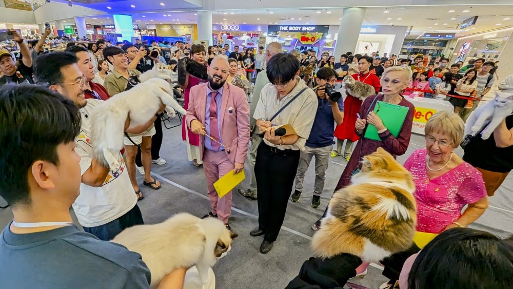 This is the biggest animal contest that Vietnam has ever hosted, aiming to enhance the position of the professional cat breeding industry in the country and also bring a message of love for animals and animal protection to the community, My notes.