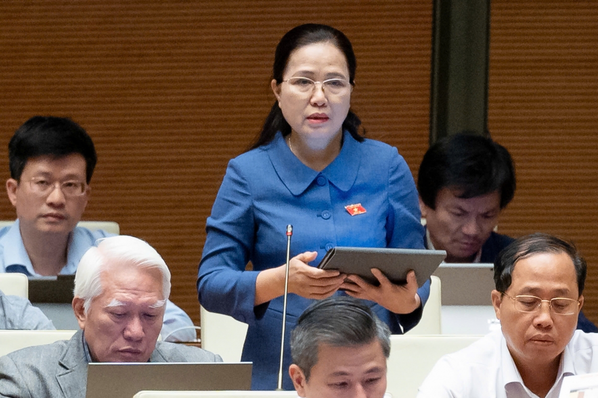 Đại biểu Đỗ Thị Lan (Đoàn ĐBQH tỉnh Quảng Ninh)