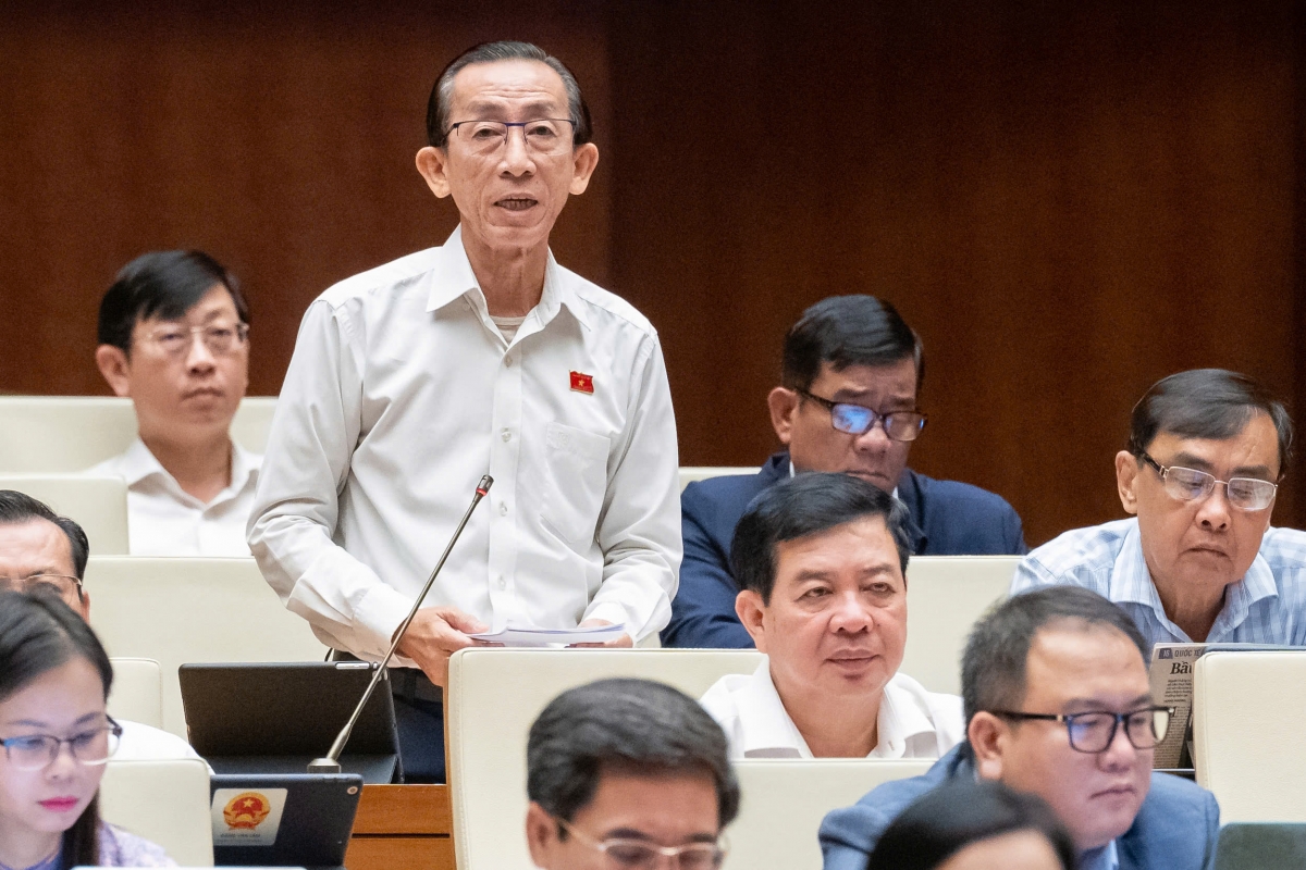 PGS. TS. Trần Hoàng Ngân (Đoàn ĐBQH TP.HCM)