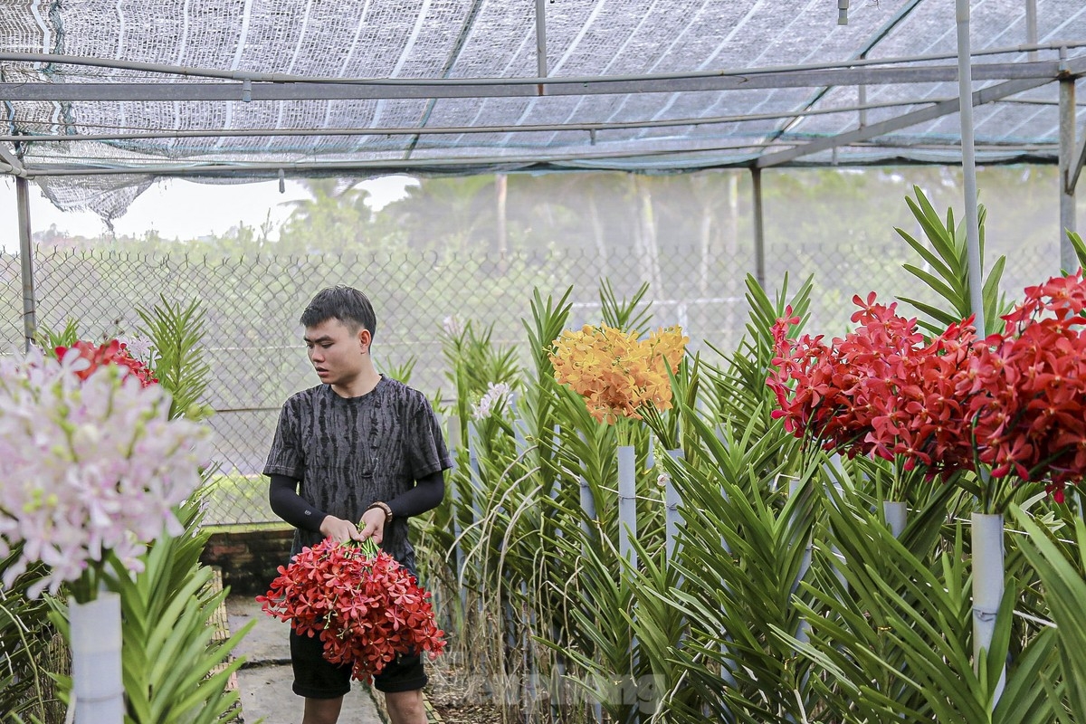 As the largest and most celebrated holiday in Vietnam, Tet falls from January 29 to January 31, 2025. The months before Tet represent the busiest time of year for farmers in Da Nang.