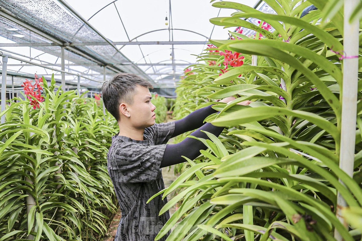 Acres of flowers are waiting to bloom just in time for Tet, with many farmers counting on them so they can enjoy a prosperous start to the new year.