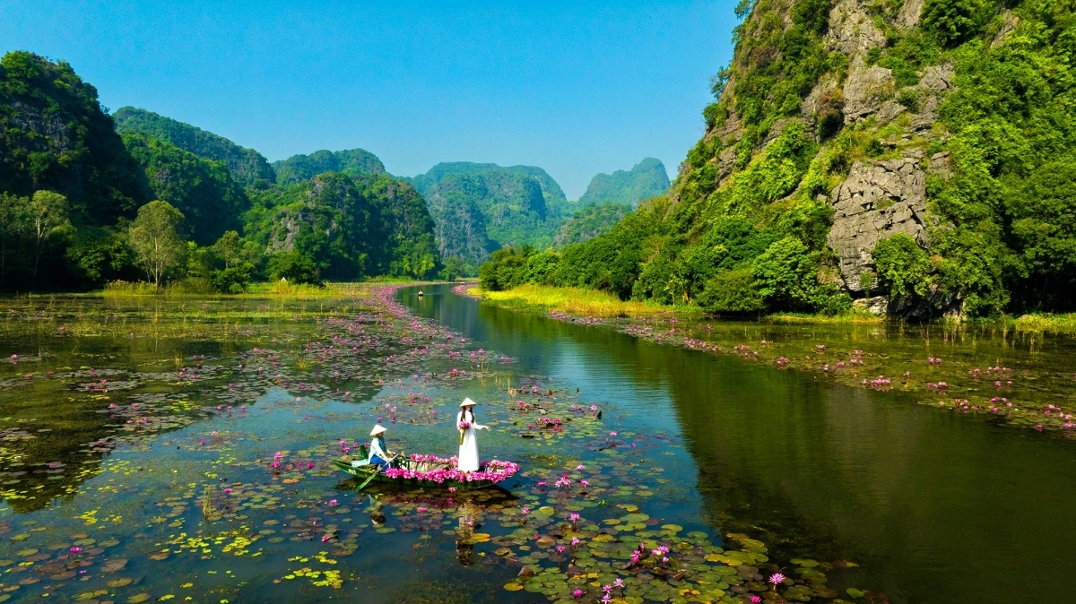 Mùa hoa súng nở rộ ở Tam Cốc thu hút đông đảo du khách, các nhiếp ảnh gia và những người yêu thiên nhiên.
