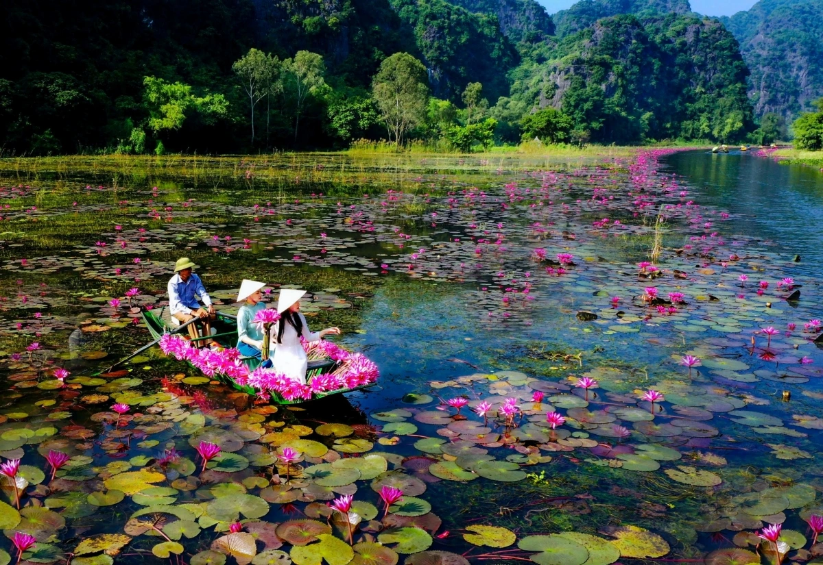 Lượng khách đến Tam Cốc dịp này có tăng so với cùng kỳ, khách nước ngoài cũng đông hơn do đang vào mùa du lịch đón khách quốc tế (inbound)