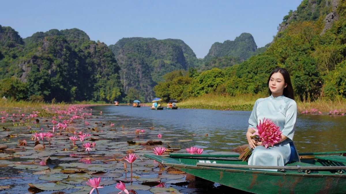 Thời gian mùa hoa súng đẹp nhất ở Tam Cốc khoảng từ tháng 10 đến tháng 12 hàng năm.