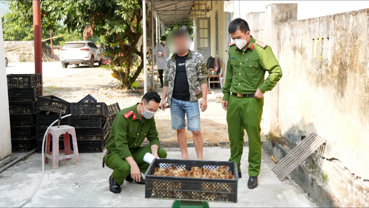 Lực lượng chức năng tiến hành kiểm đếm số tang vật thu giữ