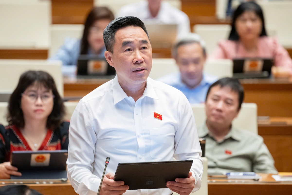 Đại biểu Nguyễn Hải Anh, đoàn Đồng Tháp (Ảnh: Quốc hội)