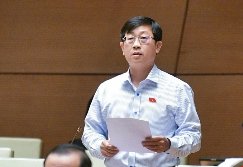 Đại biểu Nguyễn Hữu Thông (Đoàn Bình Thuận) 