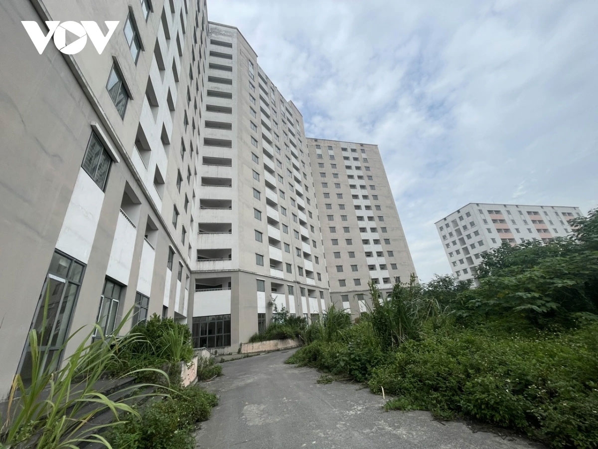 Khu tái định cư Trần Phú (Hoàng Mai, Hà Nội) nằm trong ngõ 587 Tam Trinh. Dự án này có 2 tòa nhà chung cư cao 9 tầng và 15 tầng được xây dựng từ năm 2018 đã cơ bản hoàn thiện, nhưng bị bỏ hoang.