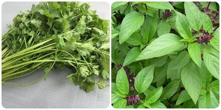 Đa số loại rau gia vị đều có vị cay, tính ấm, chứa tinh dầu, tác dụng kích thích tiêu hóa, sát khuẩn, làm ấm bụng