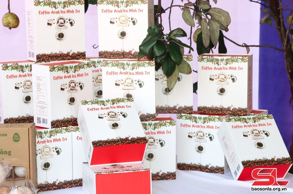 Sản phẩm cà phê Coffee Arabica Minh Trí đạt tiêu chuẩn OCOP 3 sao.