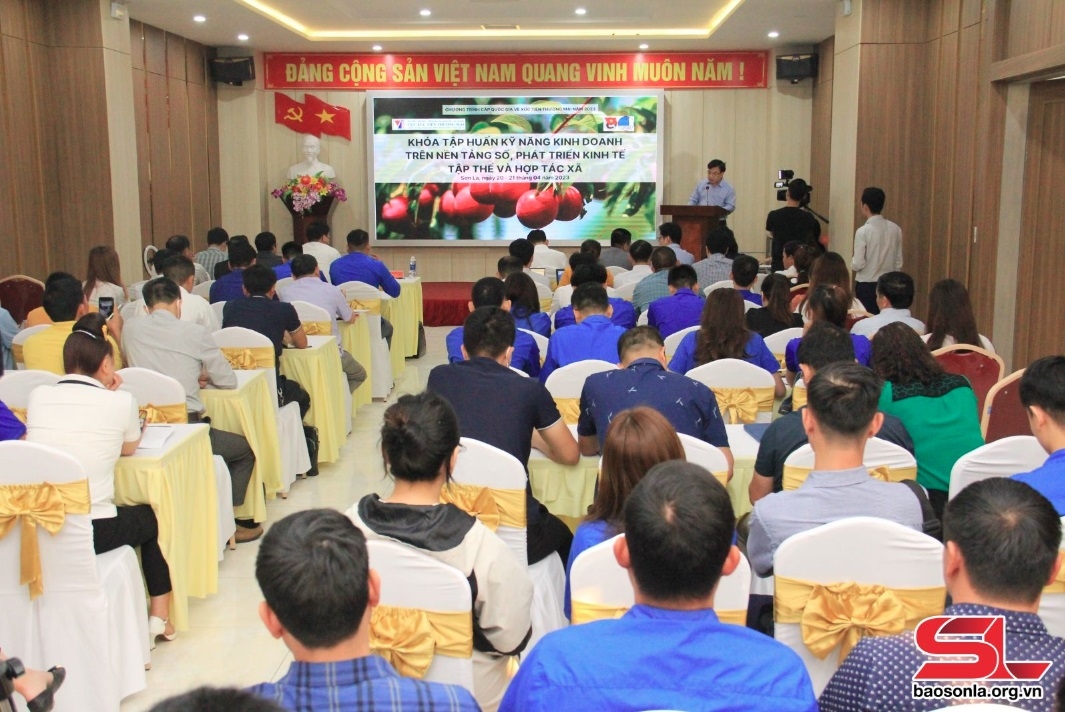 Tập huấn kỹ năng kinh doanh trên nền tảng số cho doanh nghiệp, HTX, hộ kinh doanh nông sản trên địa bàn thành phố Sơn La