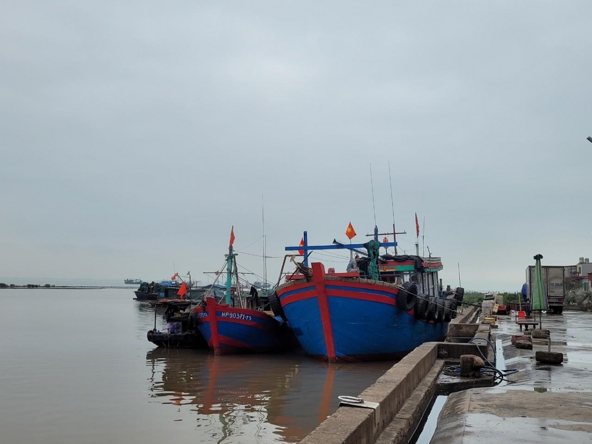 Hải Phòng có 971 tàu cá, 100% tàu có chiều dài trên 15 m đã được lắp đặt thiết bị giám sát hành trình