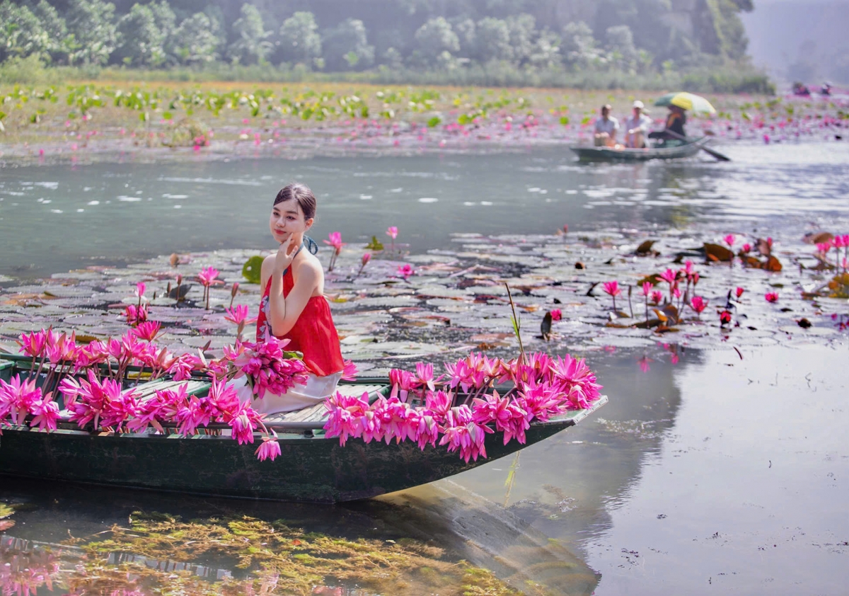 Du khách check in mùa hoa súng ở Tam Cốc, Ninh Bình. Nguồn: Khu du lịch Tam Cốc