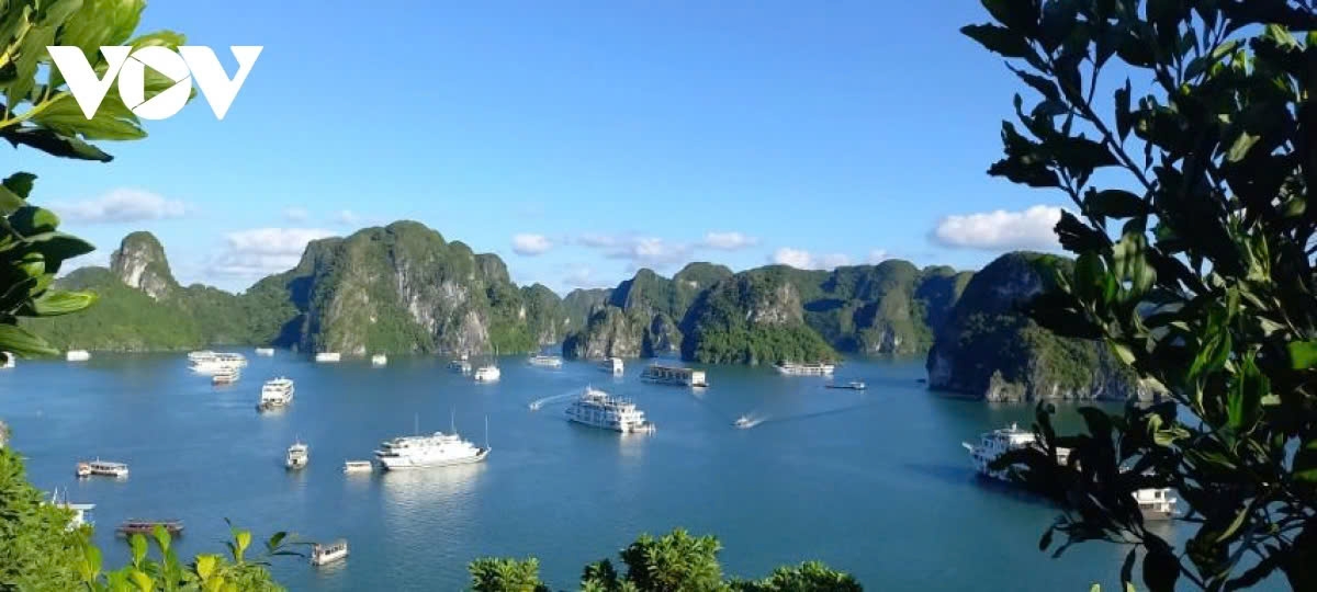 Located in the northeastern part of Vietnam, about 165 km from Hanoi, Ha Long Bay covers an area of 1,553 km² and consists of 1,969 islands, of which 980 have names.