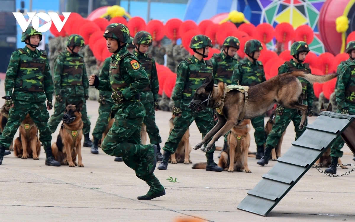 Border guard dogs showcase their obstacle course skills and jump through fire rings.