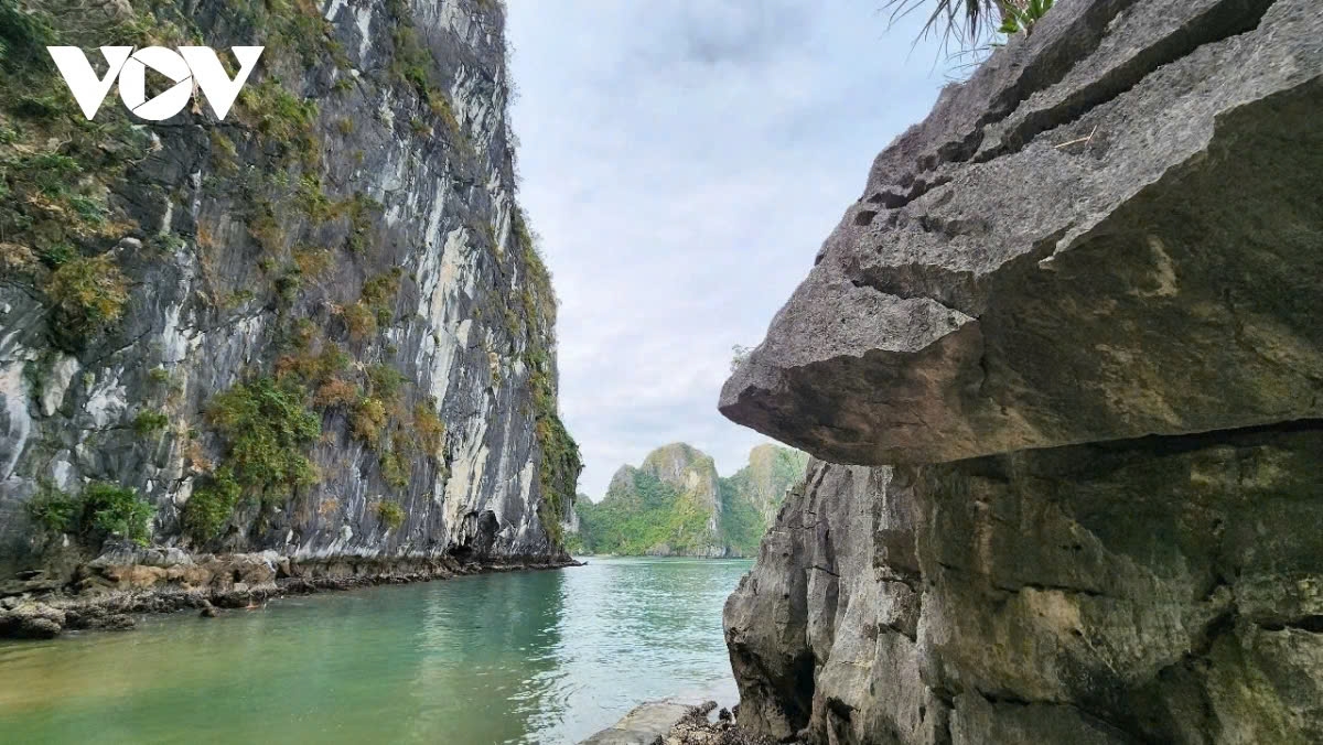 A key highlight in the socio-economic, and tourism development of Quang Ninh, Ha Long Bay has been invested in by the local authorities to become one of the best, highest-quality, sustainable, effective, and visitor-friendly tourist destinations.