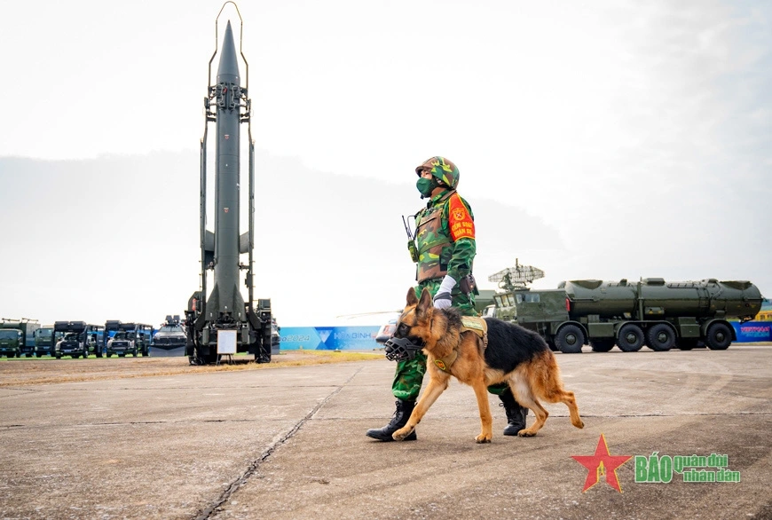 Military control forces and service dogs are on duty to ensure security at the exhibition.