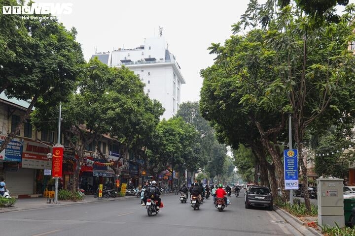 Đường Hai Bà Trưng cũng có giá đất cao nhất lên đến 695,3 triệu đồng/m2.