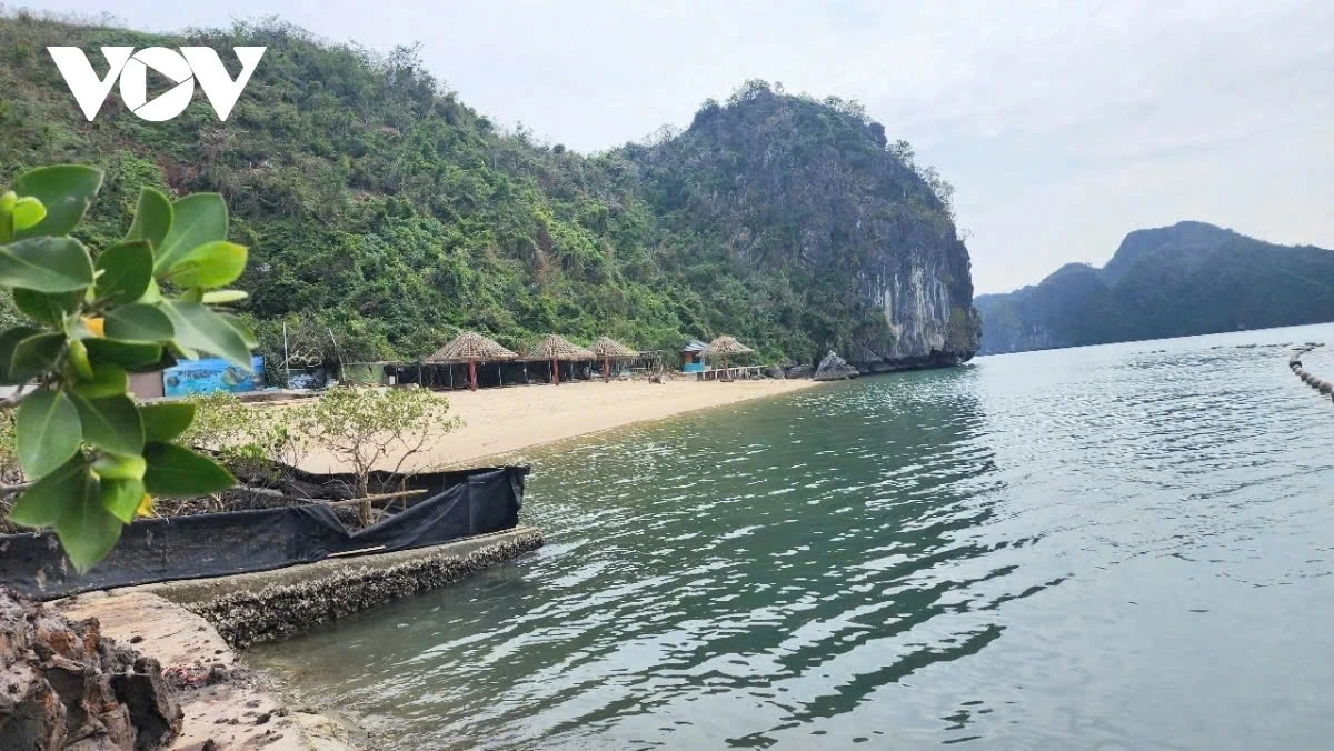 In 2023, the World Heritage Committee approved the extension of the Ha Long Bay World Heritage Site to include the Cat Ba Archipelago of Hai Phong City due to their similar natural landscapes and geological features. This expansion has made Ha Long Bay and Cat Ba Archipelago - a trans-provincial World Heritage Site.