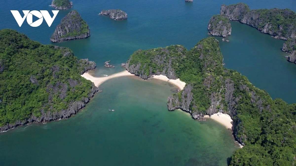 Both Quang Ninh and Hai Phong are working together to develop a spatial planning for the heritage site and establish a coordination mechanism for management to foster socio-economic development. The conservation of the values of the bay area is given a top priority.