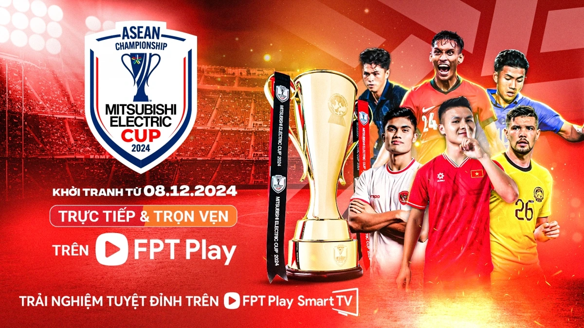 Thông tin các ASEAN Cup được tính điểm trên BXH FIFA ngang hàng với EURO, World Cup, những giải đấu hàng đầu thế giới là hoàn toàn không chính xác. 