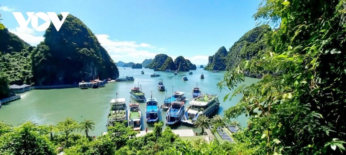 Ha Long Bay is the 448th site on the World Heritage List and is the first natural heritage of Vietnam to be included on the list.