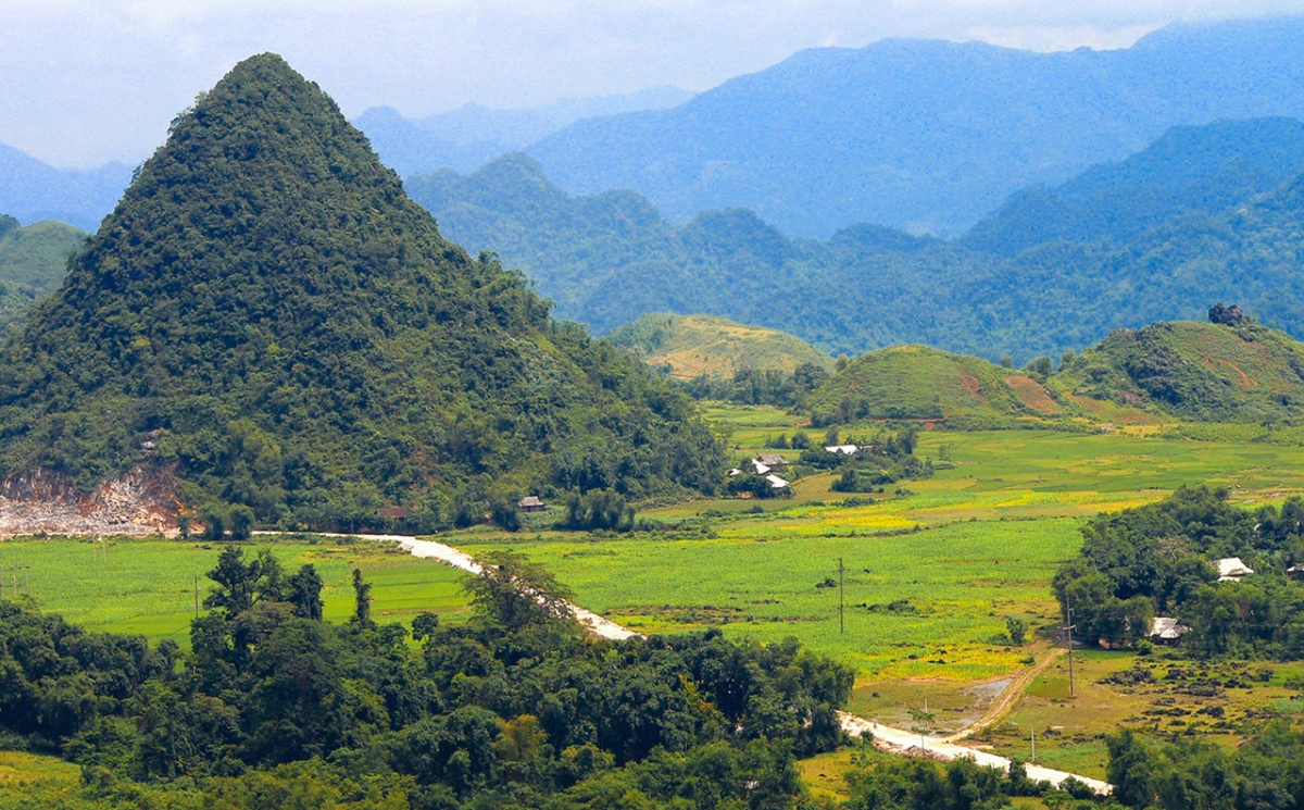 Dự án "Vì một Việt Nam xanh và phát triển bền vững" hướng tới phục hồi rừng trên hành lang kết nối giữa Hà Bình và Sơn La.