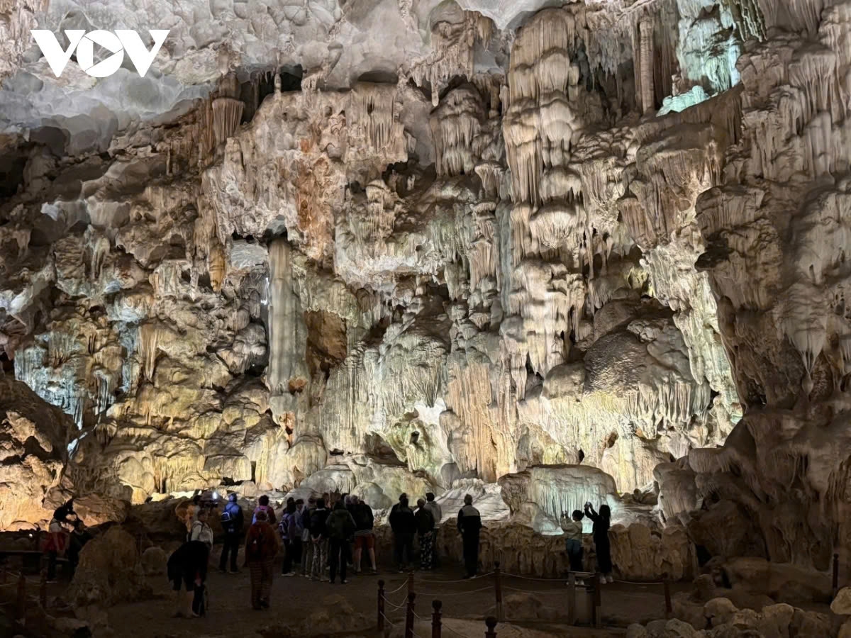 Among them, Thien Cung Cave is one of the most beautiful caves in Ha Long Bay. The cave spans approximately 10,000 m² and features stalactites and stalagmites made of limestone, in bizarre and unique shapes.