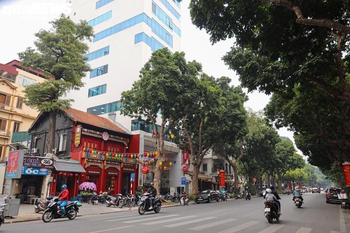 Đường Trần Hưng Đạo trước đó có giá đất cao nhất là 114 triệu đồng/m2 nay tăng lên 695,3 triệu đồng/m2, tức là gấp hơn 6 lần.