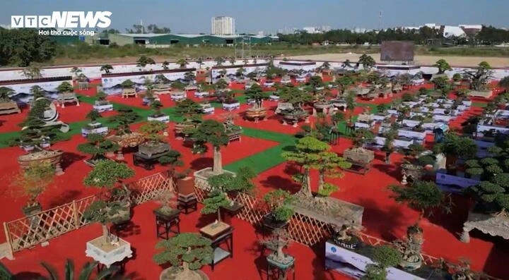 Liên hoan sinh vật cảnh thủ đô năm 2024
