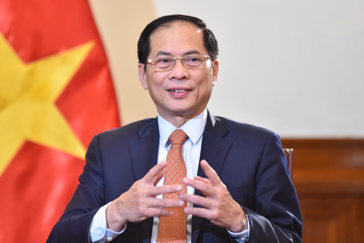 Phó Thủ tướng, Bộ trưởng Bùi Thanh Sơn. (Ảnh: BNG)