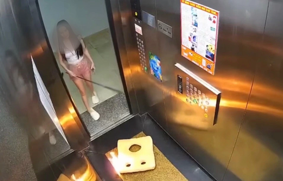 Ảnh cắt clip 