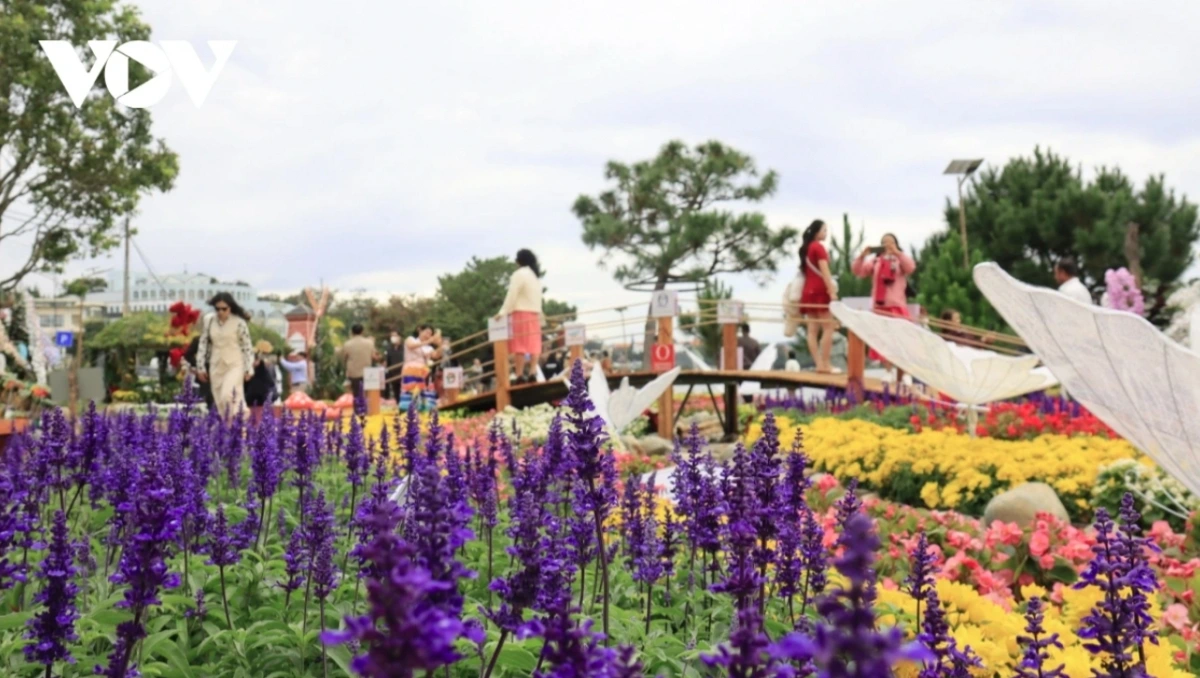 A flower display on the banks of Xuan Huong Lake proves particularly attractive for visitors.