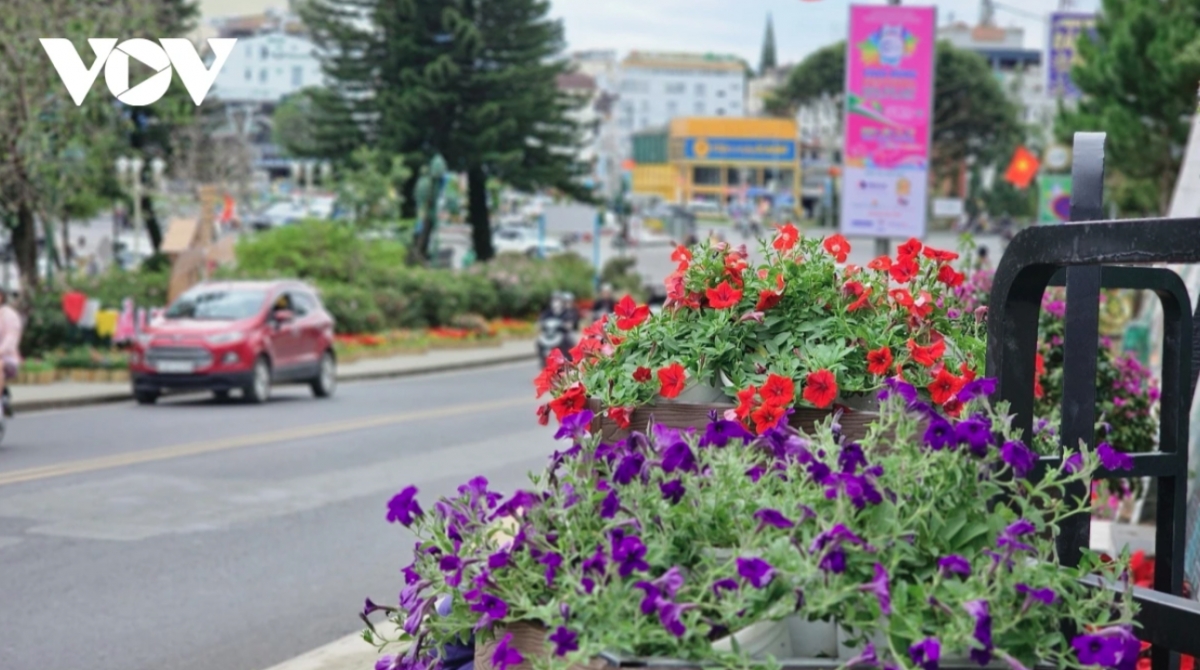 The festival is scheduled to last through to December 31.