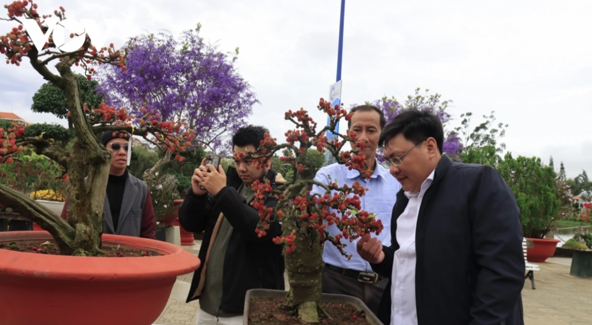 The Da Lat Flower Festival provides an ideal venue in which both domestic and international tourists can experience the unique cultural and tourism values ​​of the city.