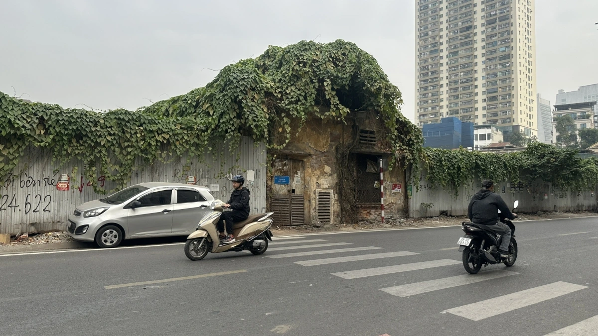 Cảnh quan khu vực phố Nguyễn Công Trứ cây leo chằng chịt, hàng rào quây tôn xiêu vẹo mục nát.