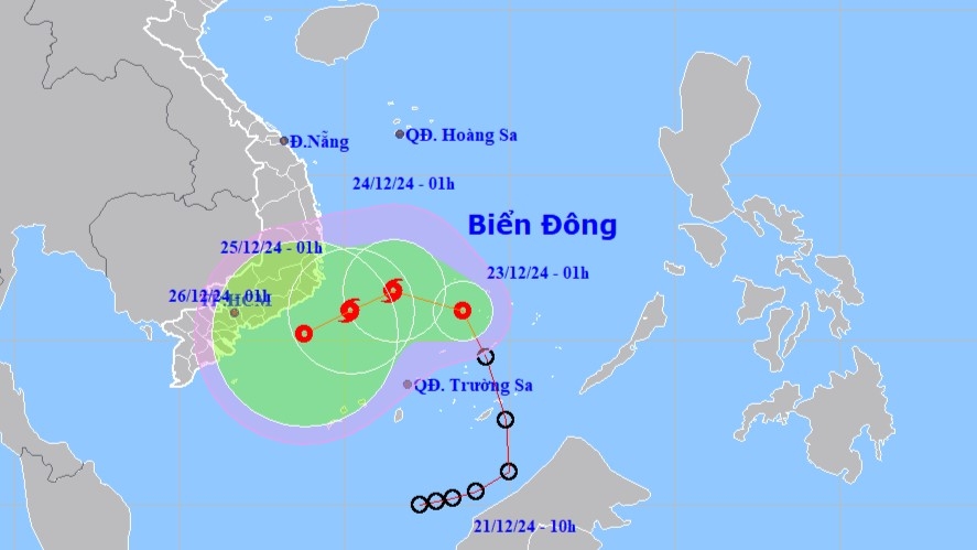 (Nguồn: nchmf)