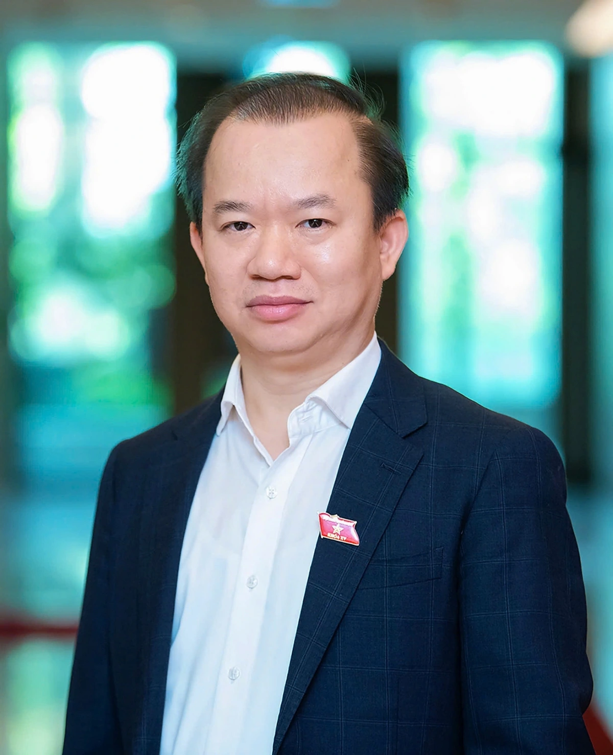 PGS.TS Bùi Hoài Sơn, ĐBQH Đoàn Hà Nội, Ủy viên Thường trực Ủy ban Văn hóa, Giáo dục của Quốc hội